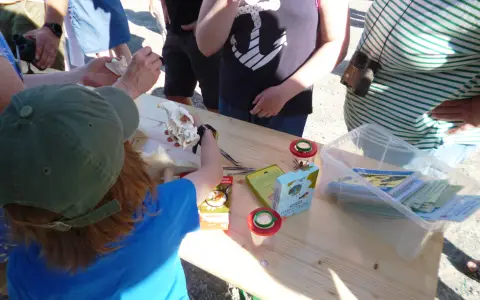 MoorMobil „MoMo“