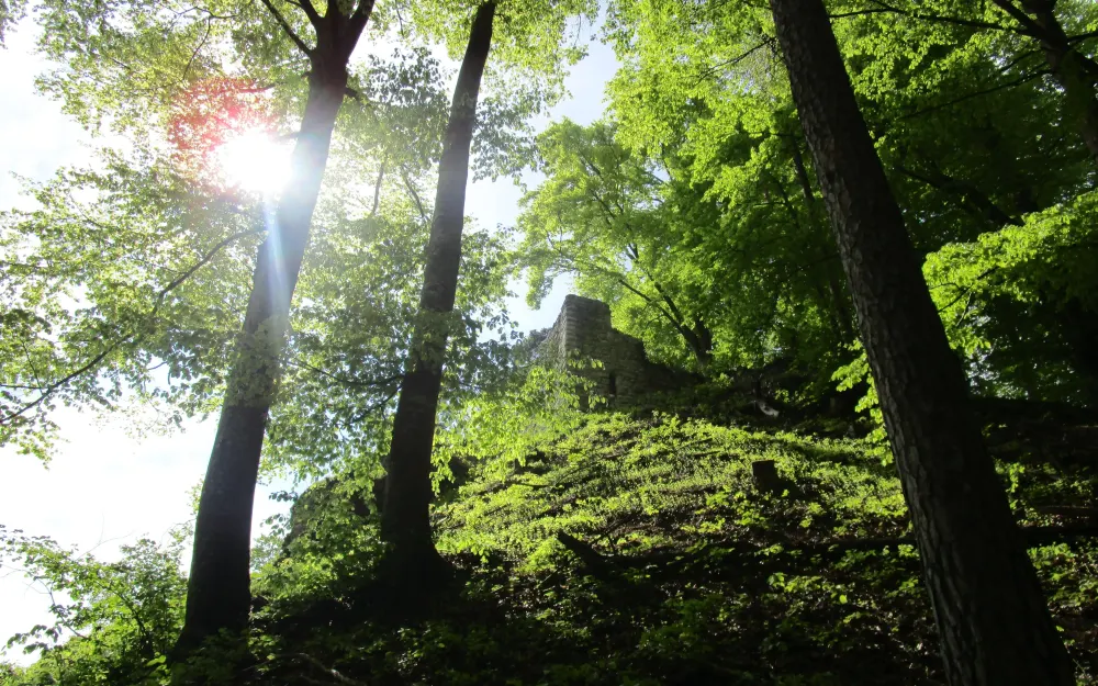 Ruine Hohenfels Sipplingen
