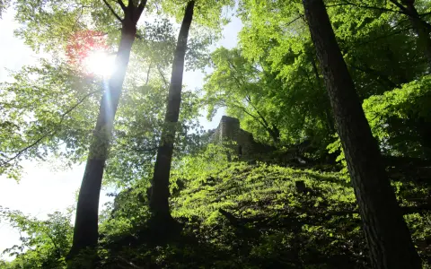 Ruine Hohenfels Sipplingen