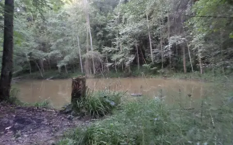 Tobelweiher (Berg)