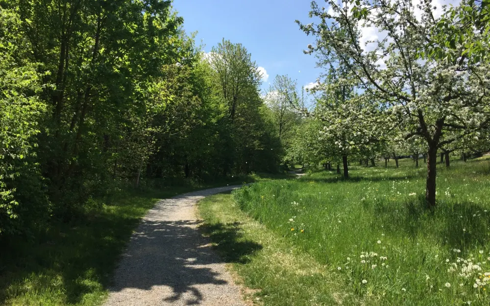 Weg entlang Seefelder Aach