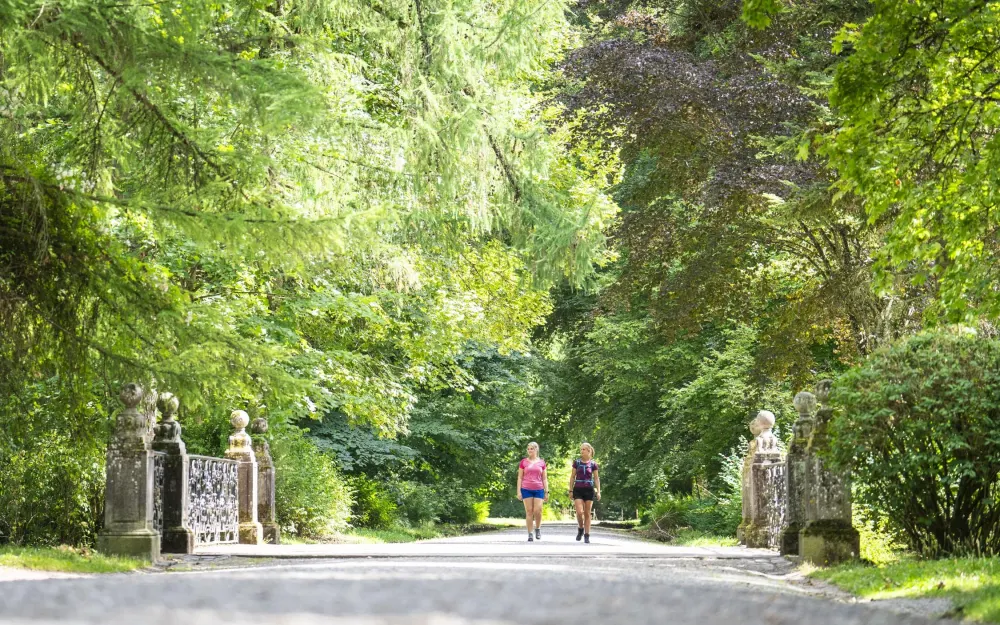 Schlosspark Donaueschingen