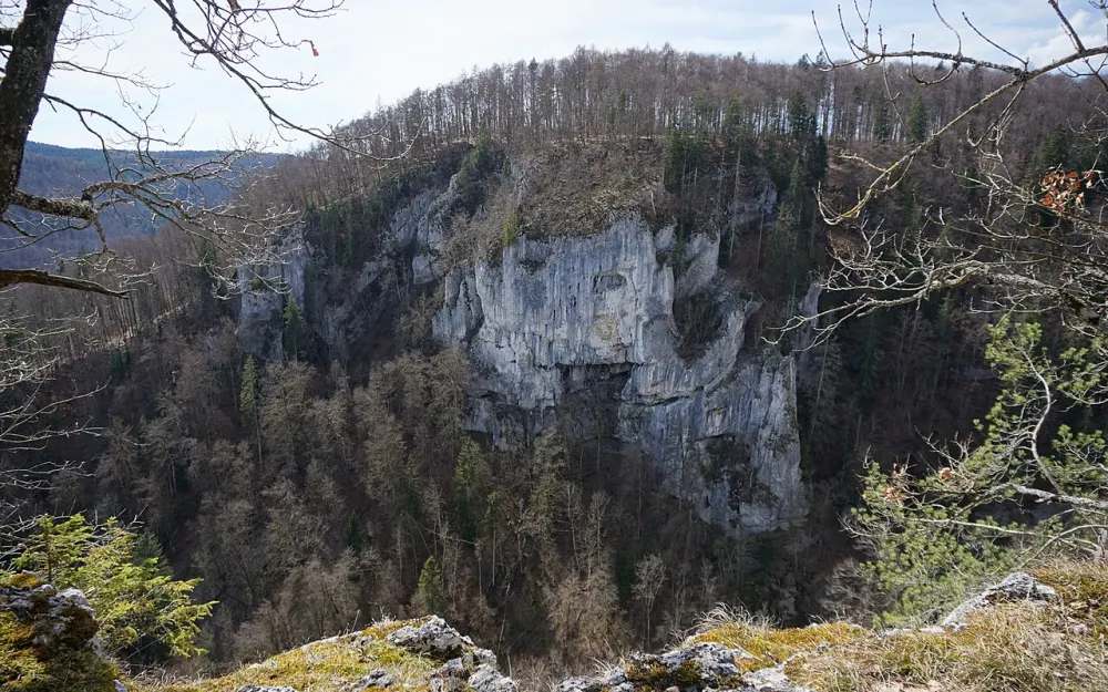 Burg Neidingen