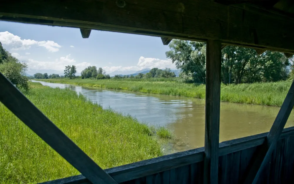 Ein Seitenarm des Rheins