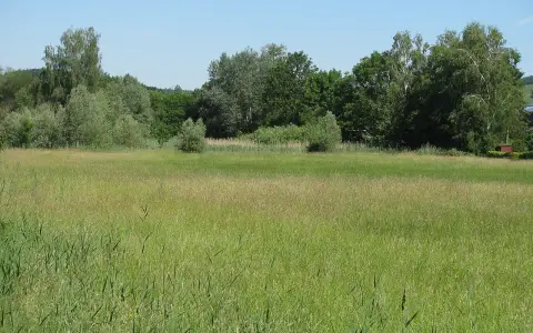 Markdorfer Eisweiher