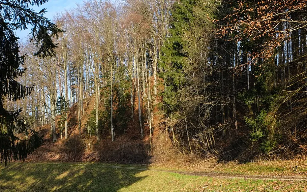 Burg Falkenhalden