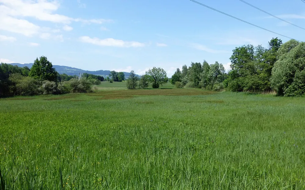 Gsieg – Obere Mähder