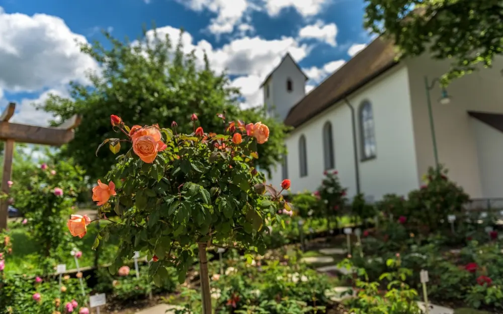 Rosen-Duft-Garten Nöggenschwiel