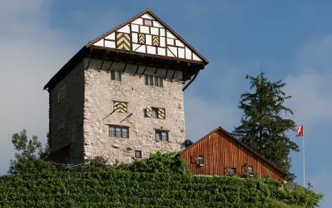 Burg Neu-Altstätten