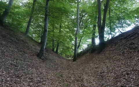 Burgreste Wasserburg