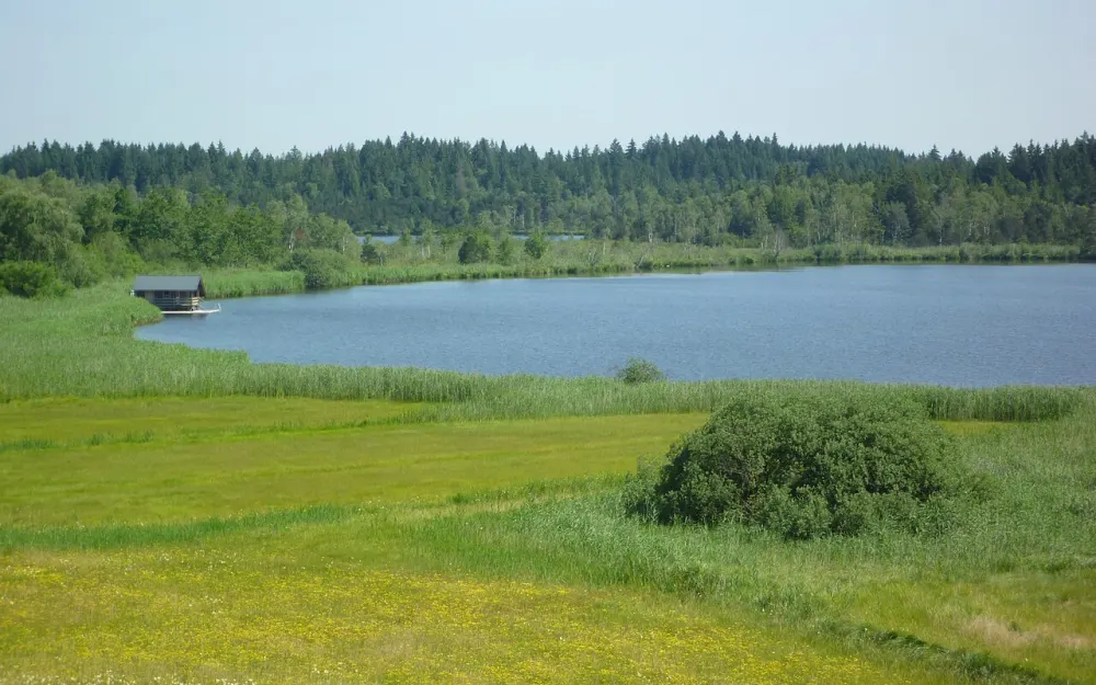 Naturschutzgebiet Taufach- und Fetzachmoos mit Urseen