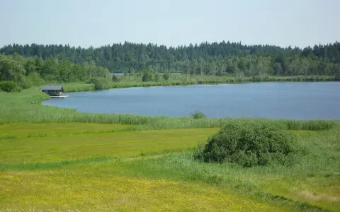 Naturschutzgebiet Taufach- und Fetzachmoos mit Urseen