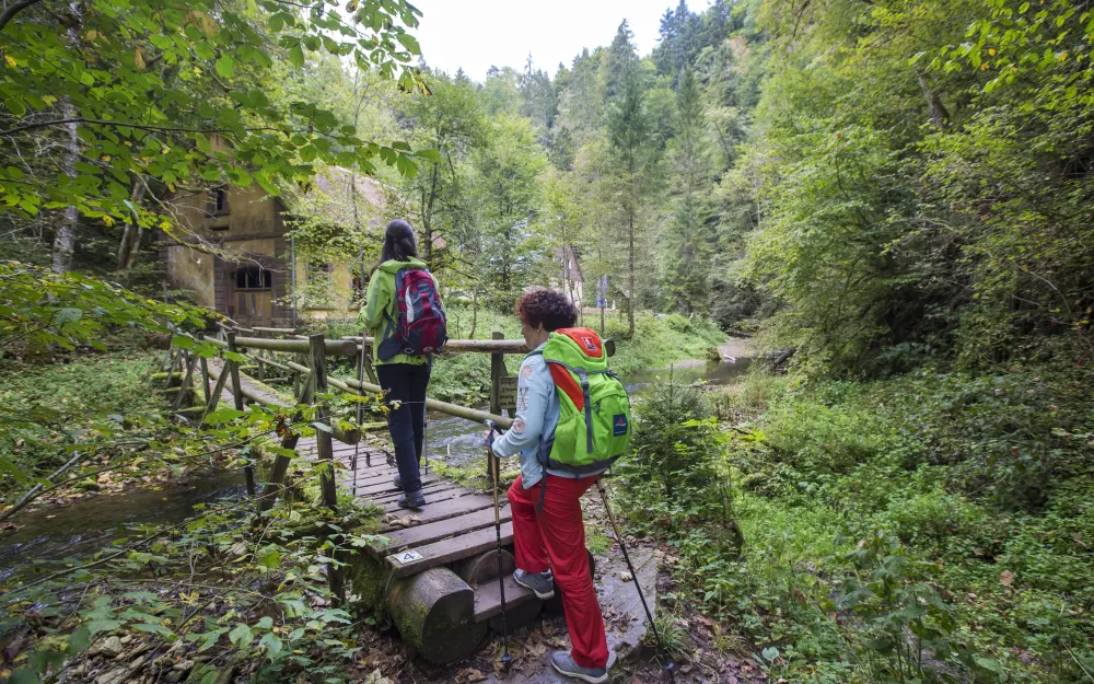 In der Gauchachschlucht