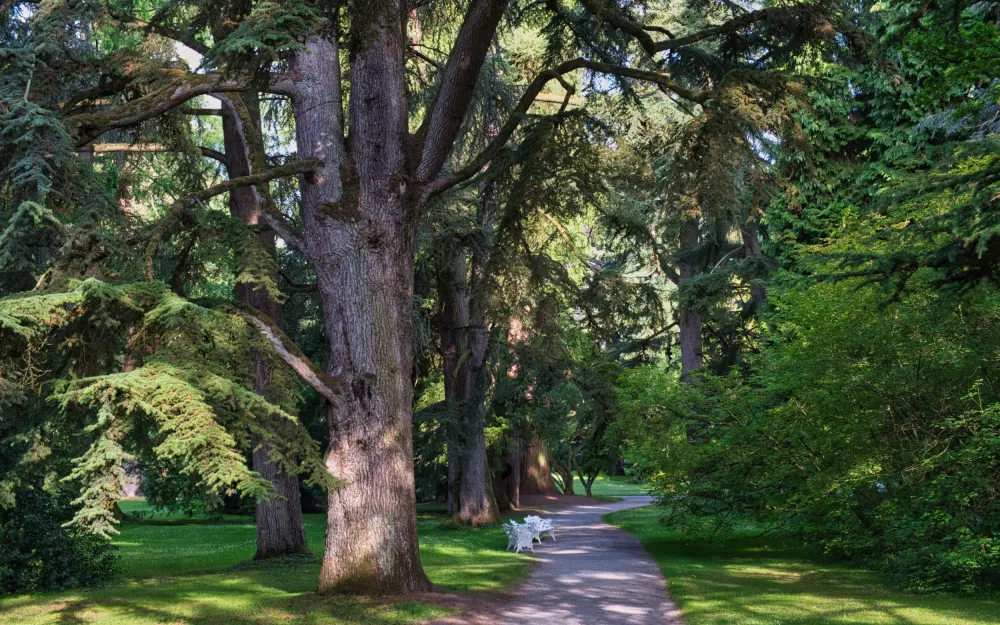 Arboretum
