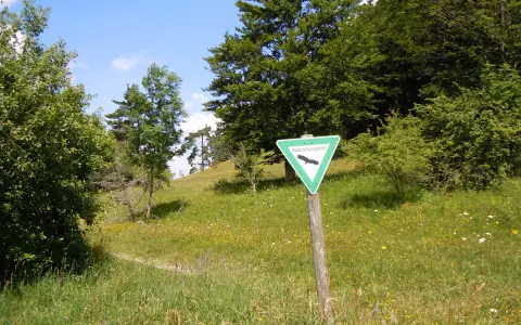 Naturschutzgebiet Braunhartsberg