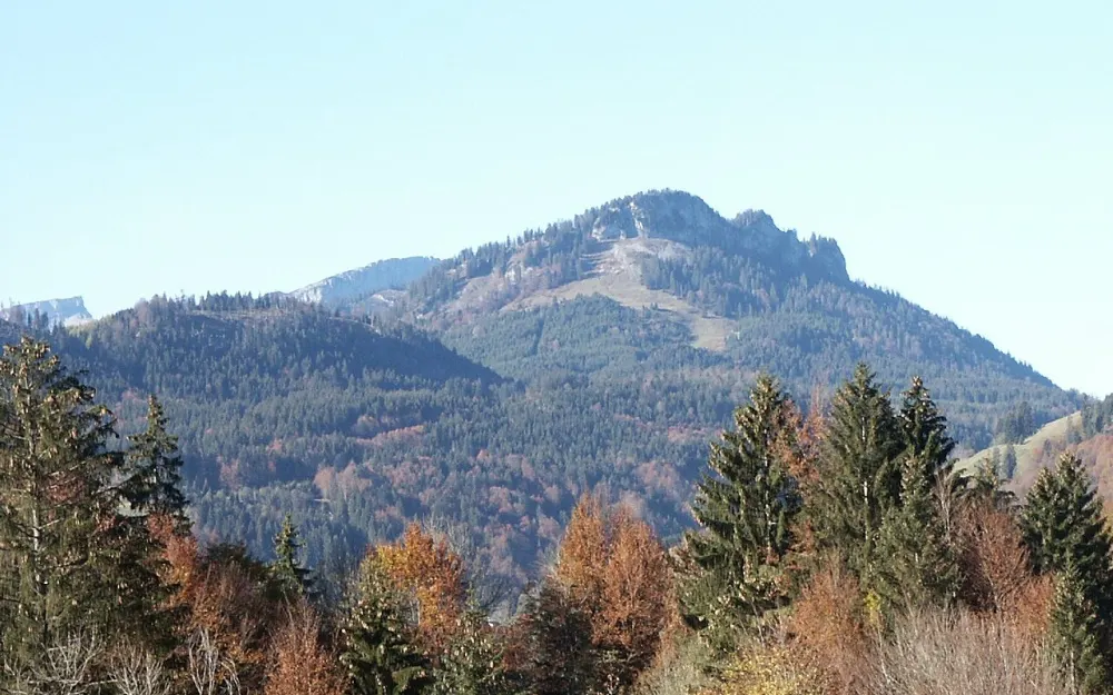 Kackenköpfe