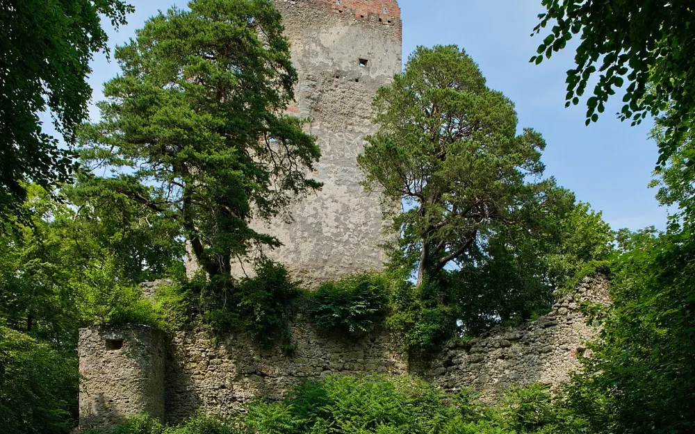 Ruine Altbodman