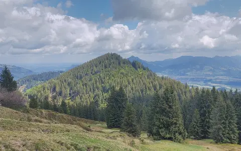 Sigiswanger Horn