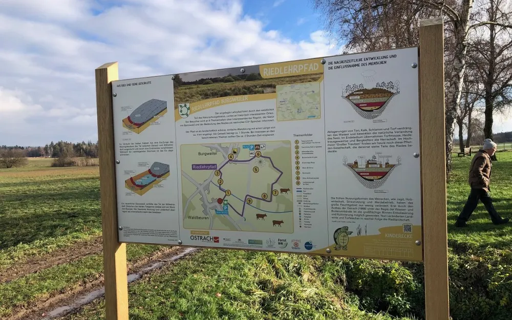 Riedlehrpfad Infotafel Nahrungskette