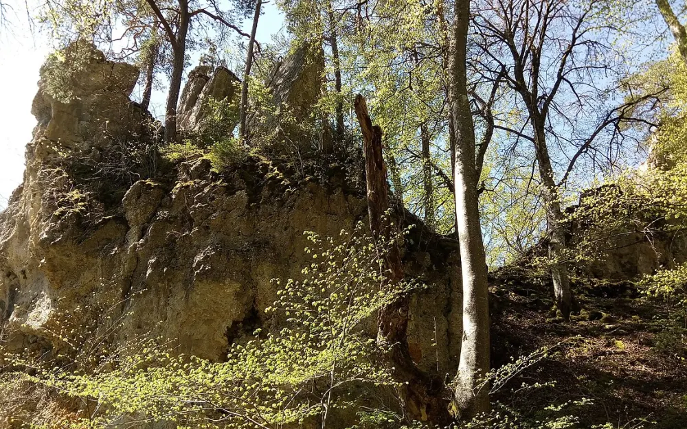Burgreste Walterstein