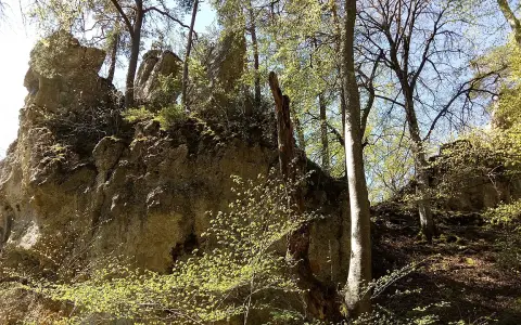 Burgreste Walterstein