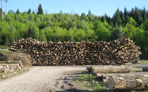 Römischer Gutshof Salet