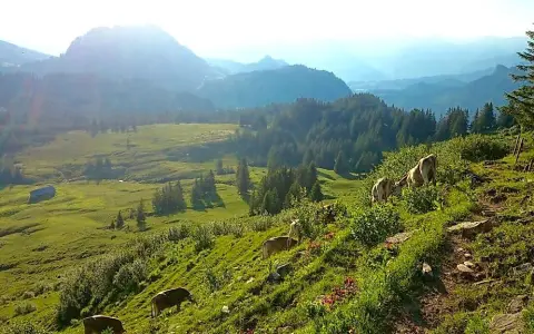 Wanderung am Piesenkopf bei Balderschwang