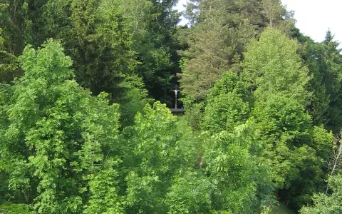 Burg Schmalegg