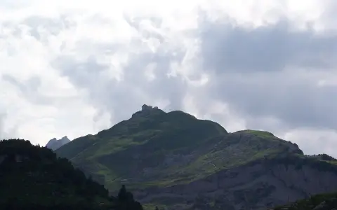 Schäfler