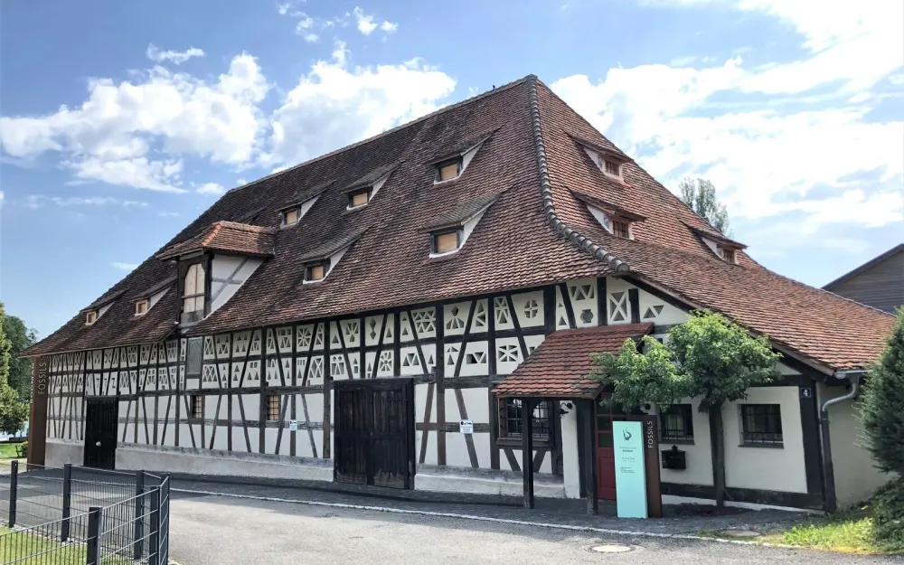 Torkel