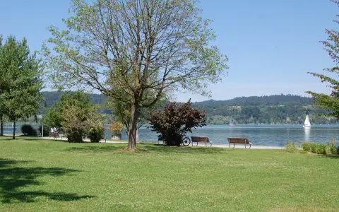 Ufer beim Seeum Bodman (2)