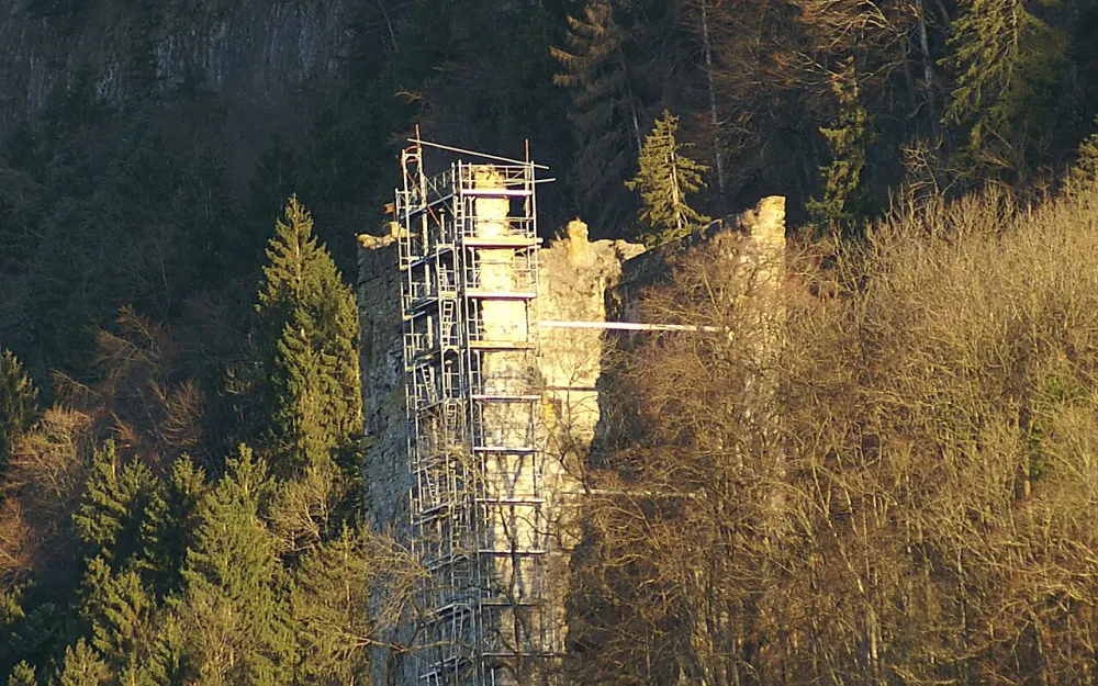 Burgruine Neu-Montfort