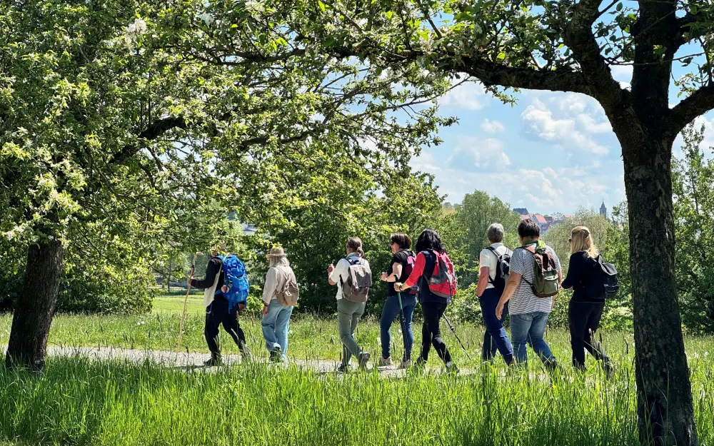 Wanderung bei Pfullendorf