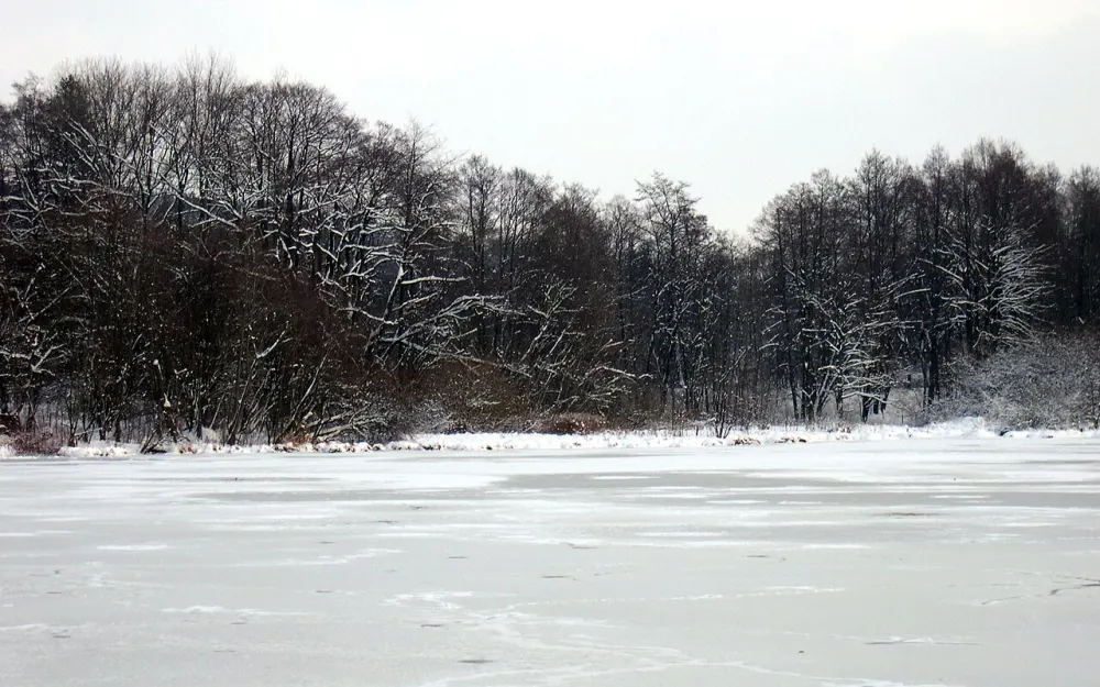 Reps- und Ochsenweiher
