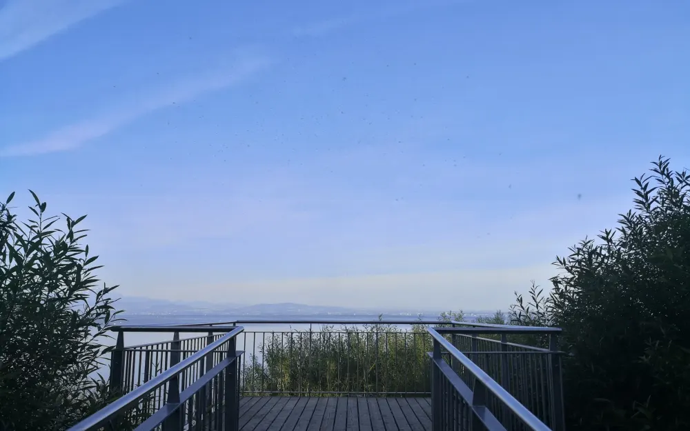 Eriskircher Ried