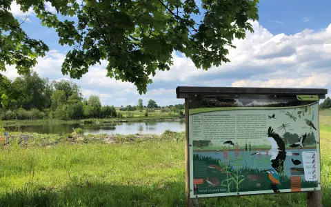 Heinz-Sielmann-Weiher im Naturschutzgebiet Ruhestetter Ried