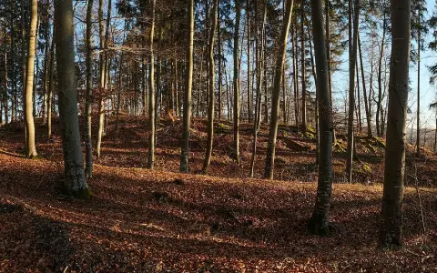 Heidenburg (Ippingen)