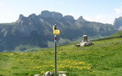 Hüser