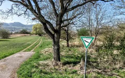 Ehinger Ried