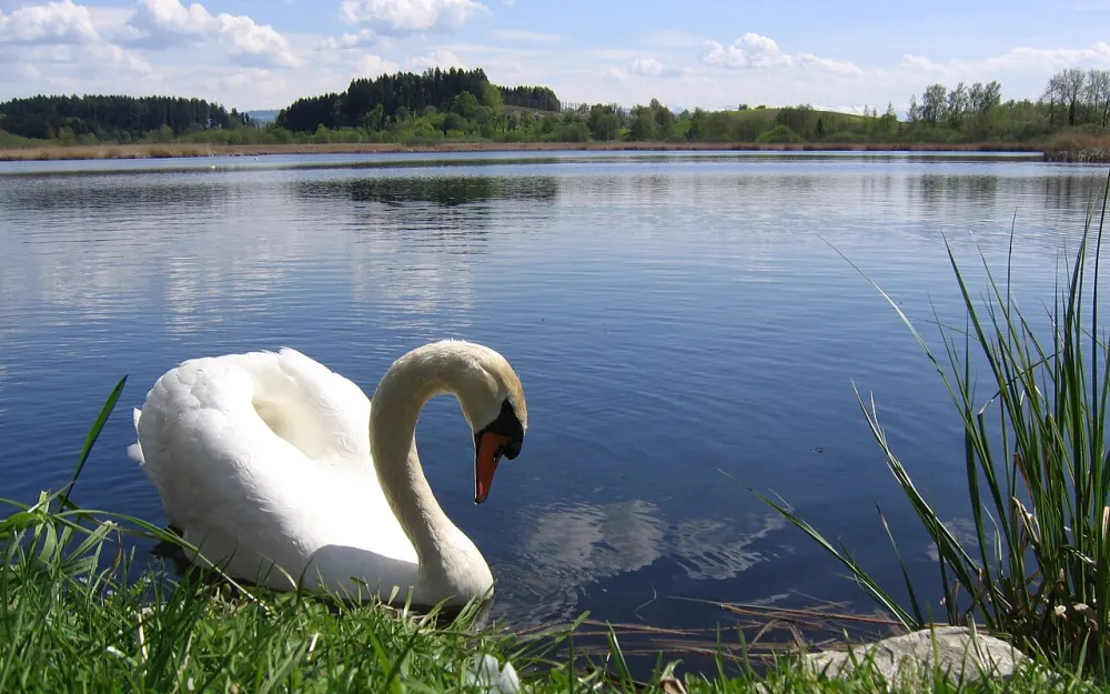 Kreuzweiher