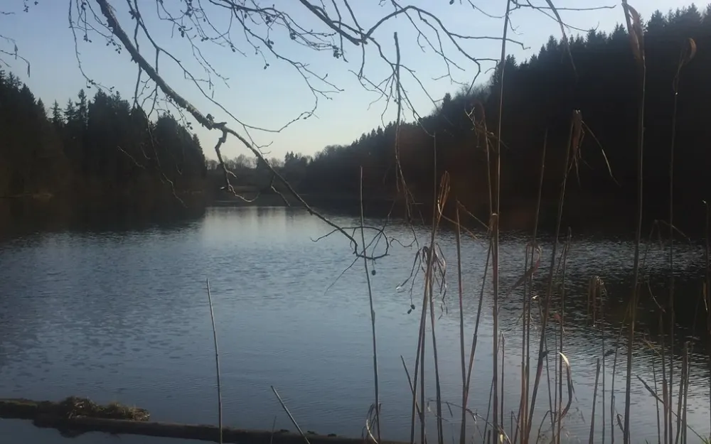 Gottratzhofener Stausee