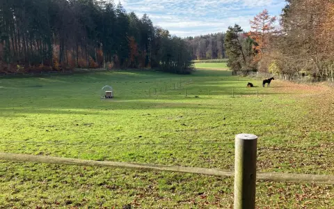Tettnang. Bei Neuweiher