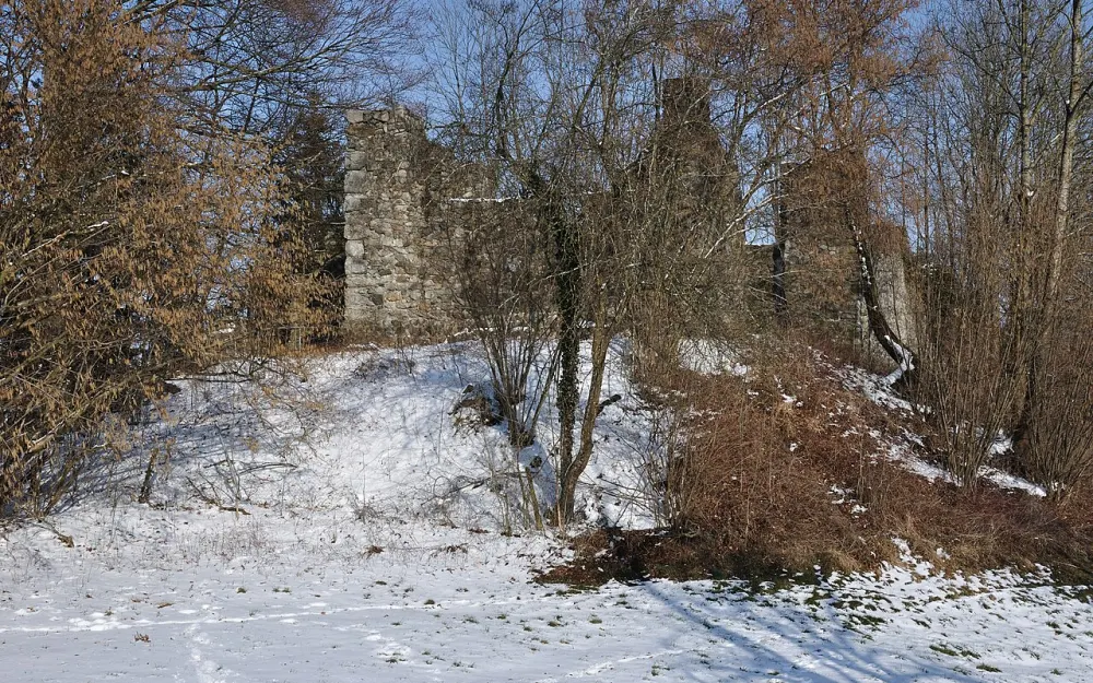 Ruine Altsummerau
