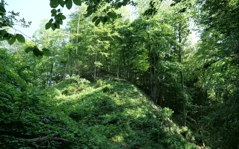 Ruine Spiegelberg