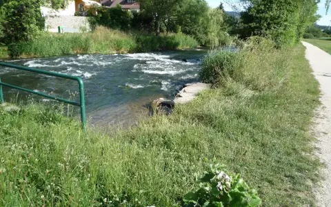 Weg entlang der Aach
