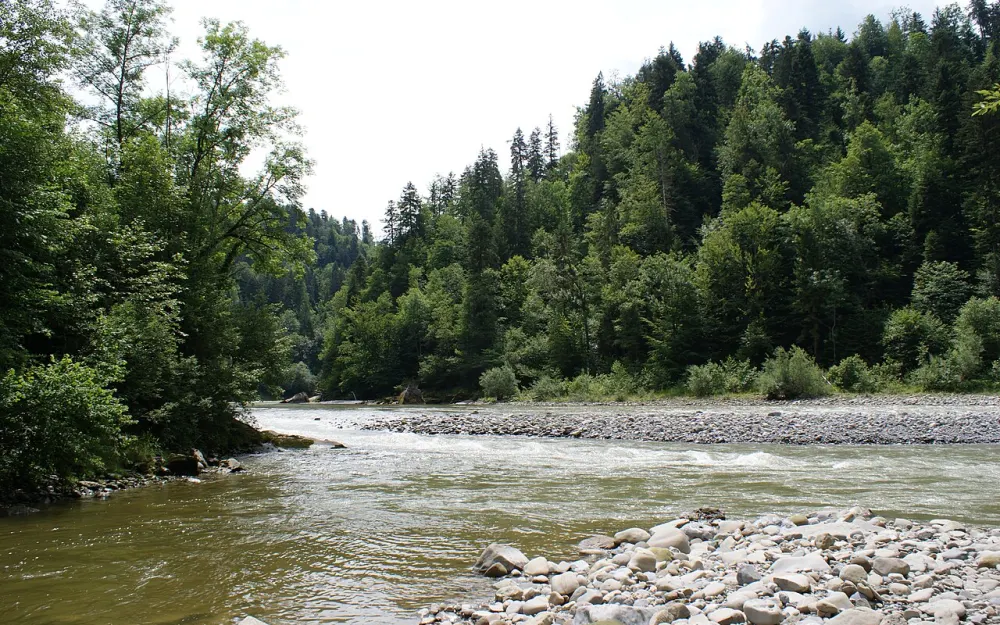 Bregenzerachschlucht