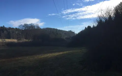 Bussenried