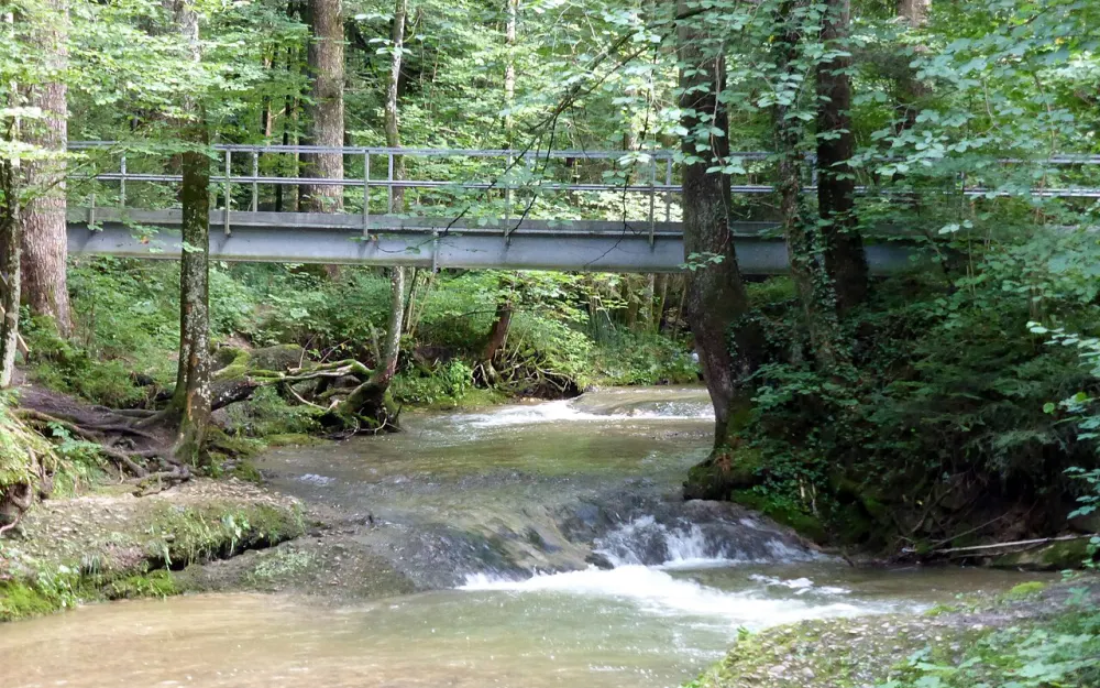 Rohrachschlucht