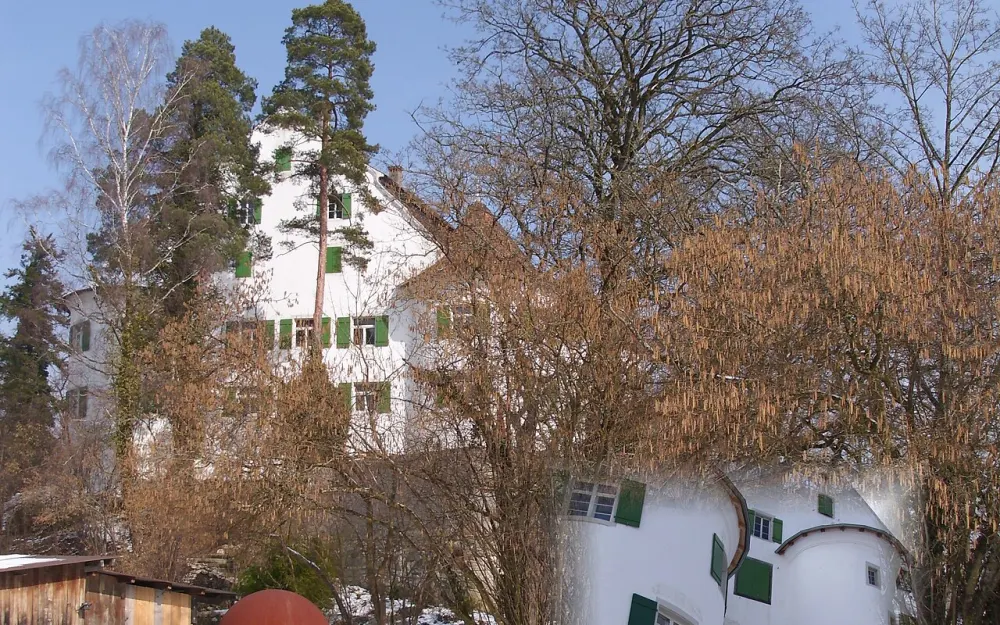 Schloss Randegg