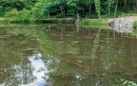 Schwanenweiher